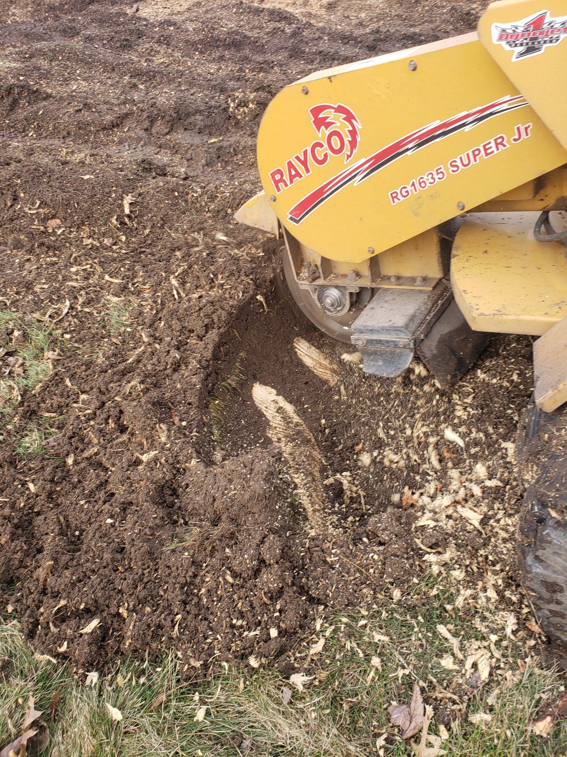 This one had traveled far.