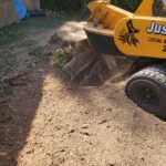 Some companies will happily grind just the top of the stump because it’s fast, easy, and profitable. But stopping at the surface leaves behind: