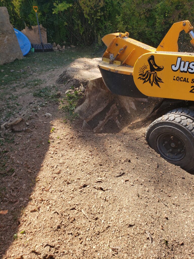 Some companies will happily grind just the top of the stump because it’s fast, easy, and profitable. But stopping at the surface leaves behind: