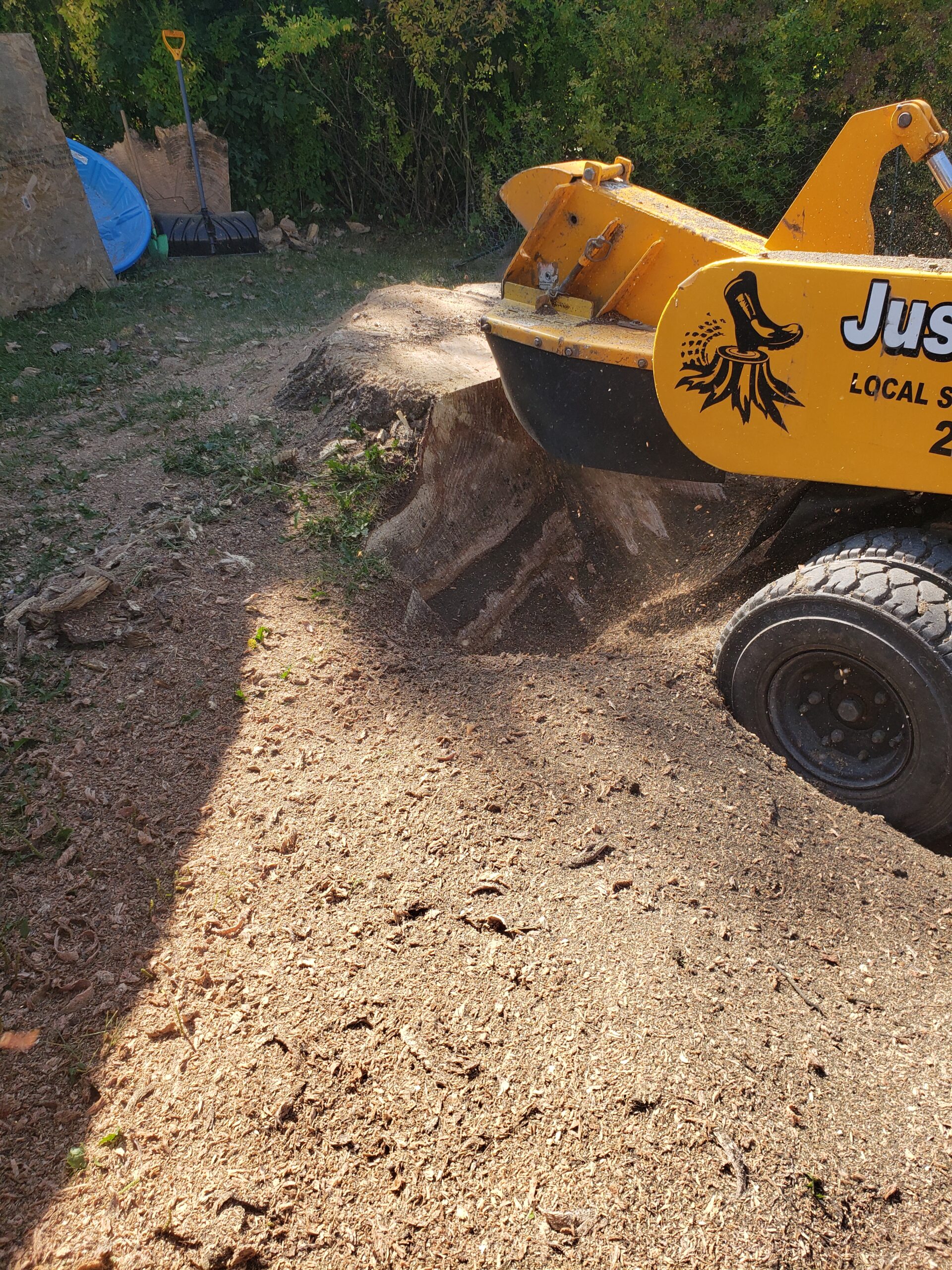 Some companies will happily grind just the top of the stump because it’s fast, easy, and profitable. But stopping at the surface leaves behind: