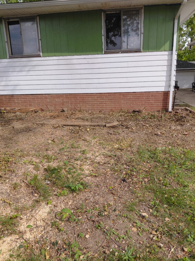 Existing Yard Area (Before Photos) The photos show a cleared planting bed along the front/side wall of a split-level home with white horizontal siding, green upper accent panels, and a red brick foundation. Key features visible: A large, mostly bare dirt planting area extending the length of the wall. Evidence of recent stump grinding and vegetation removal, including wood chips, sawdust, roots, and scattered plant debris. An old timber landscape border running horizontally through part of the bed. Sparse patches of grass and weeds emerging throughout the area. A downspout at the right corner of the house near a concrete driveway. Two windows overlooking the planting bed. Full to partial sun exposure based on the visible shadows and lighting conditions. An open, unobstructed space suitable for redevelopment into a landscaped garden bed.