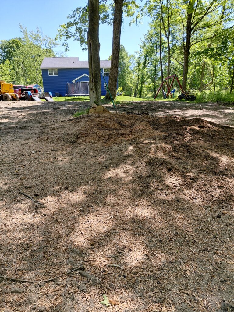 Backyard Landscaping Design Project — Woodland Clearing to Usable Space. This is a technical specification for landscape design; it can be handed over to the work crew. Project Vision Transform this partially cleared, stump‑removal zone into a structured, usable backyard that still honors the natural woodland feel. The goal is to: - Clean up the work zone (chips, soil disruption, stump remnants) - Create a defined gathering or functional area - Add plantings that thrive in partial shade - Introduce order without losing the forest charm - Make the space feel intentional, not “recently worked on”