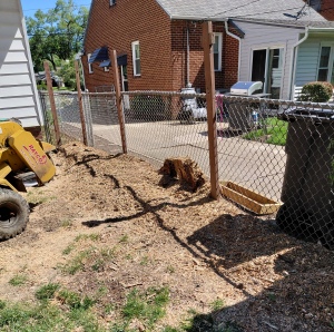 A piece of the stump that we left to avoid damaging the fence.