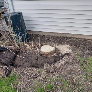Small stump in next to the garage prior to grinding and cleanup.