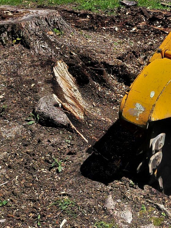 The stump grinder removes roots to a depth of up to 16 inches.