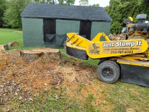 "Just Stump It" machinery set up for stump grinding.
