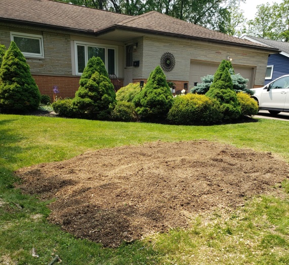 A clean yard changes everything.