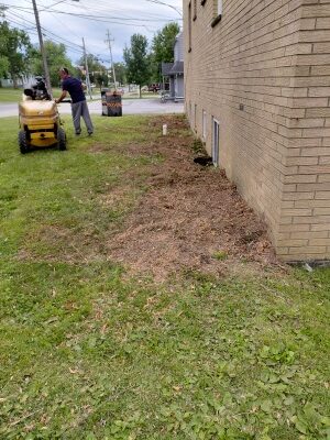 stump fully ground down and area leveled