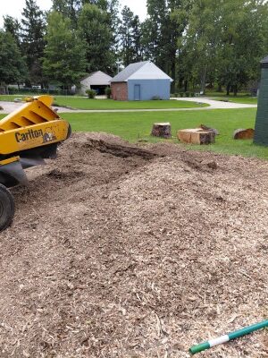 Stump grinding Parma after. Border with WestPark — stump removed for the new landscape design.