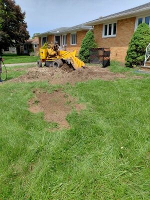Stump grinding Parma after. Near State Road — the stump's long roots have also been ground down.