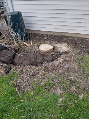 Stump grinding before. A small stump near the garage in Parma.