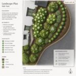 Design plan for a flowerbed next to the house after stump grinding.