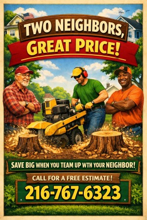 Two neighbors teamed up to grind the stumps in their yards and save money. Two neighbors: great prise! Call for a free estimate 216-767-6323.