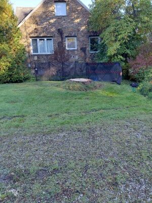 A massive stump dominates the yard, showing just how challenging it can be when you’re figuring out how to get rid of a huge stump. The crew evaluates the size, root spread, and surrounding landscape to plan a safe, efficient removal.