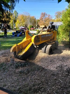 The grinder chews through the stump, layer by layer. Wood chips fly as the machine breaks down the core, revealing how professionals tackle even the largest stumps without damaging the surrounding yard.