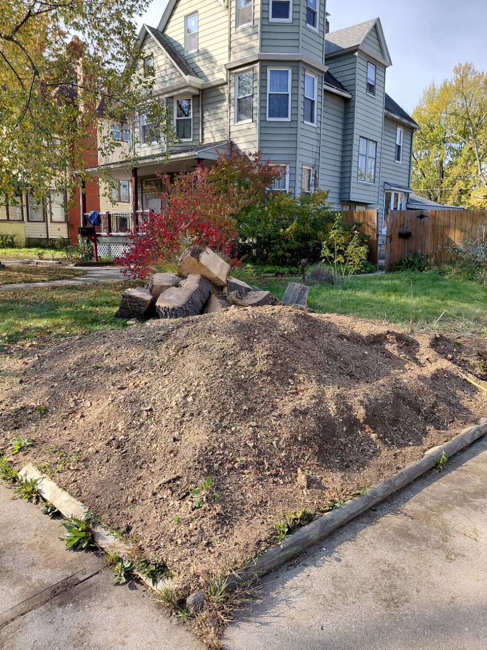 Here’s the final answer to what to do with a stump in your yard: grind it clean and leave fresh mulch behind.