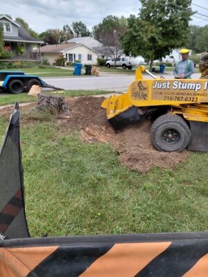stump grinding North Olmsted oct 26.10