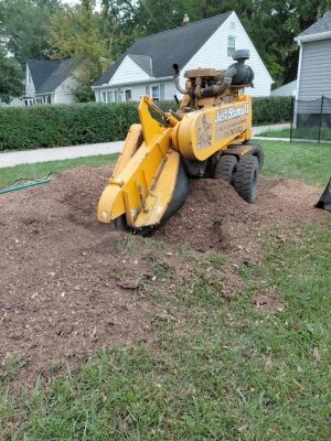 stump grinding North Olmsted oct 26.12