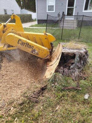 The process of grinding an oak stump on the front lawn. A mesh screen has been set up to protect the windows.