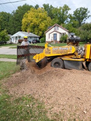 stump grinding North Olmsted oct 26.9