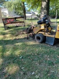 stump grinding Parma sep 26 (11)
