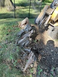 stump grinding Parma sep 26 (12)