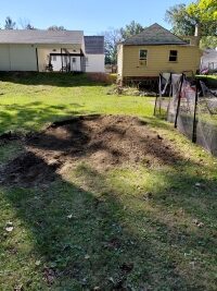 stump grinding Parma sep 26 (14)