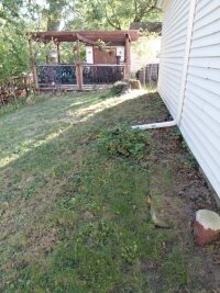 Two tree stumps at the top of a steep slope, close to the garage foundation of a house in Parma.
