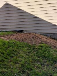 A neat pile of mulch left over from grinding the stump.