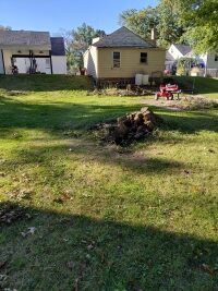 A large overturned tree stump far down the slope in the backyard of a house in Parma, Ohio.
