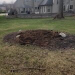 A pile of mulch from shredded stumps mixed with soil.