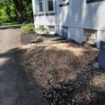A pile of mulch where a stump was ground down, next to the house.